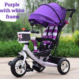 Tricycle Stroller 2-in-1
