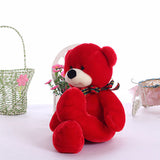Teddy Buddy
